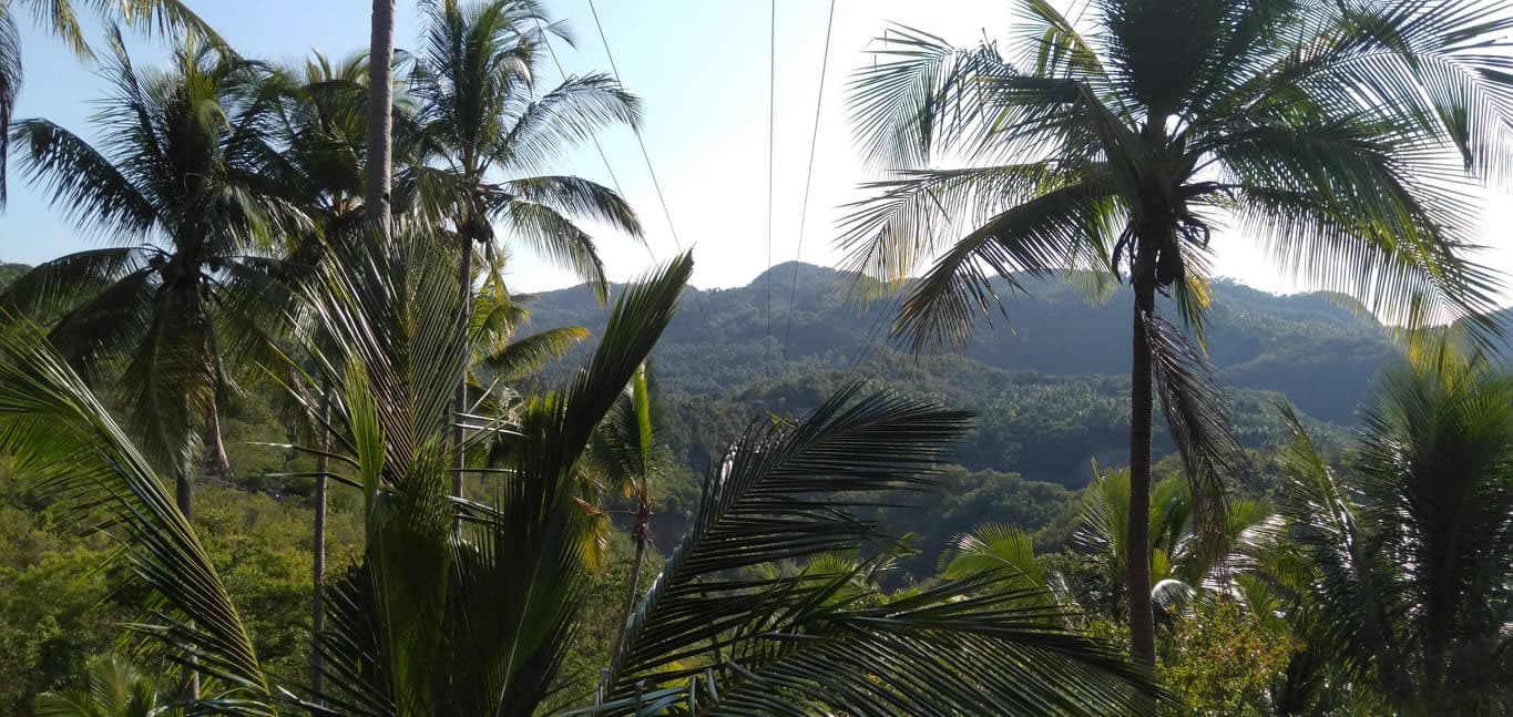 Kawasan Falls Zip Line