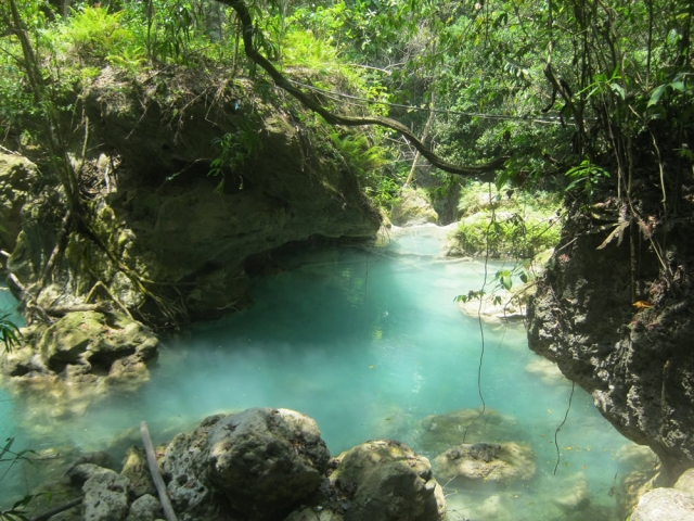 Kawasan Falls Pool