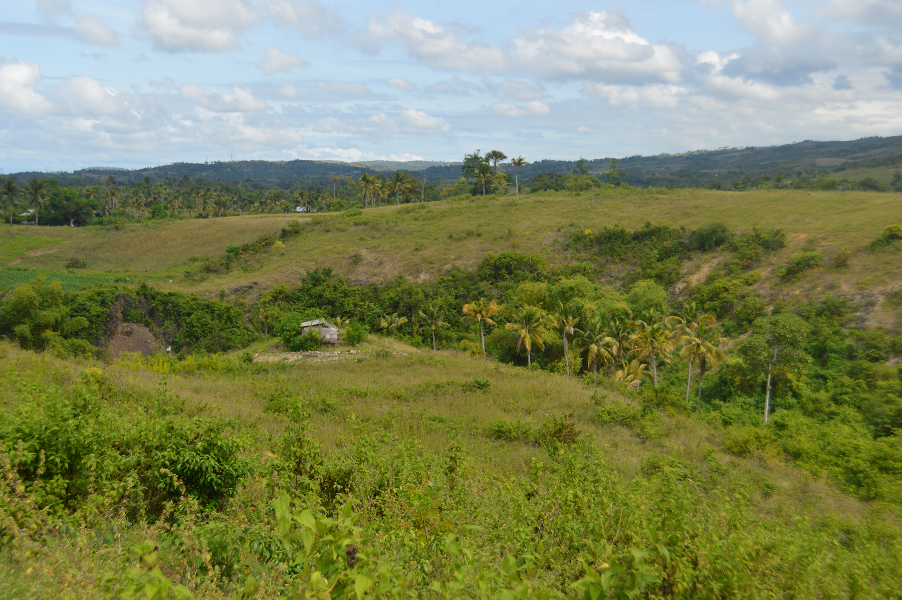 Land For Sale Malhiao, Badian, Cebu