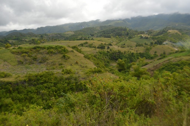 Lot For Sale Malhiao, Cebu