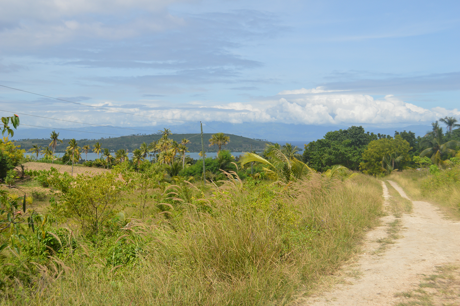 Overlooking Badian Island