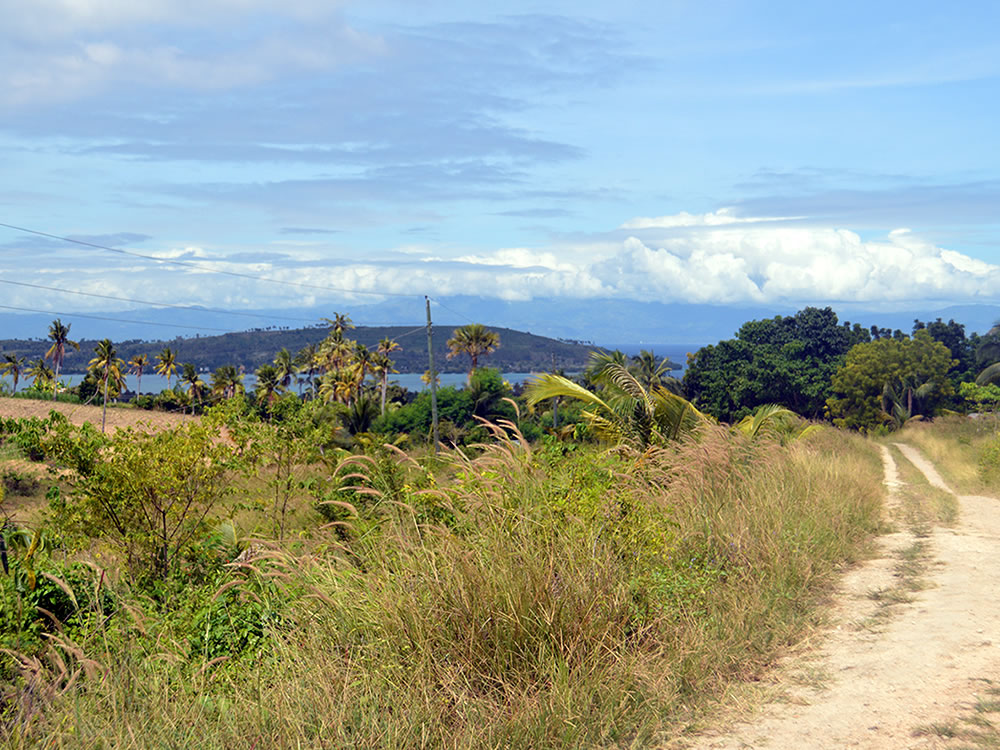 Malhiao Land For Sale, Badian, Cebu