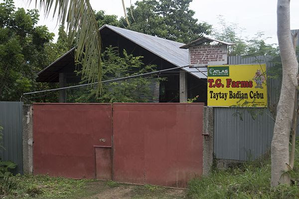 Piggery For Sale, Badian, Cebu